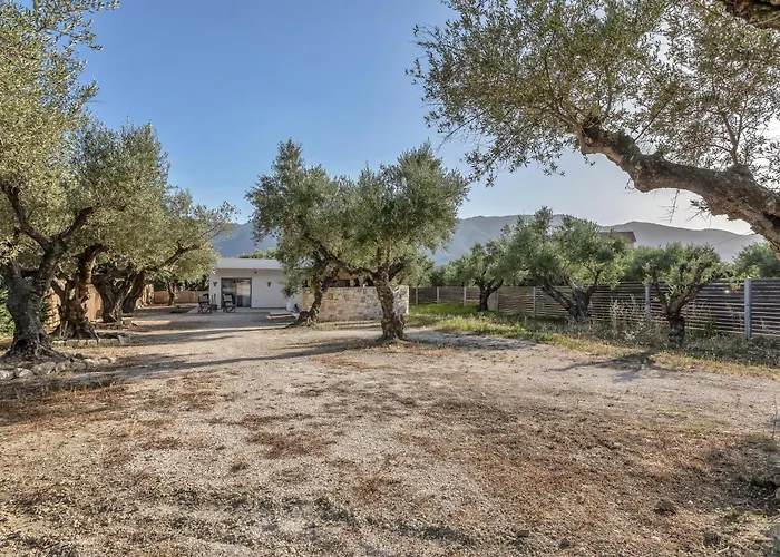 Natura Oliva House